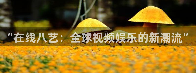 入青云天狼影院在线观看