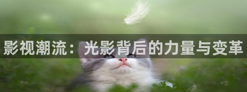 天天影视天狼影院：影视潮流：光影背后的力量与变革