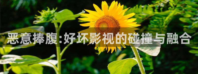 2019天狼影视韩国理论：恶意捧腹:好坏影视的碰撞与融合