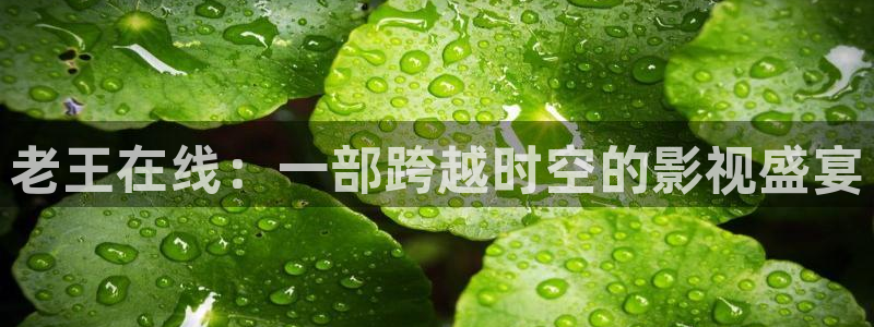 天狼网影视