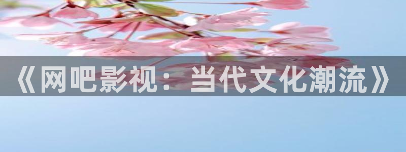 天狼影视成人：《网吧影视：当代文化潮流》