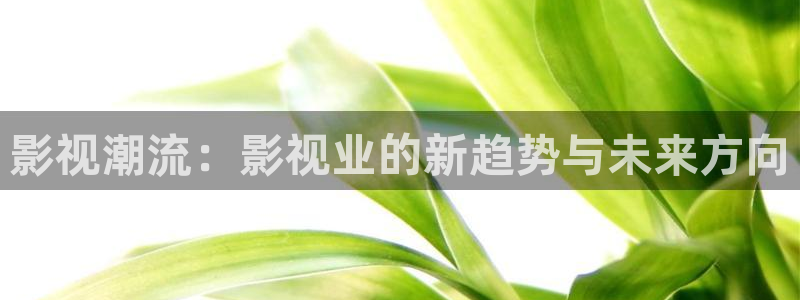 天狼电影2025年最新款在线观看：影视潮流：影视业的新趋势与未来方向
