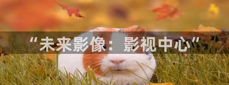 天狼影院潘金莲